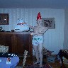 habill1.jpg (45774 bytes)